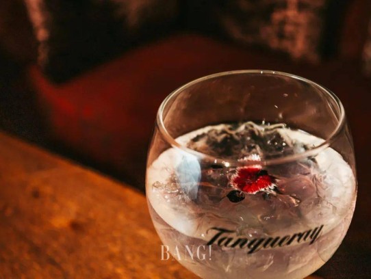 Irresistible Tanqueray Gin Recipes: Crafting Exquisite Cocktails at Home